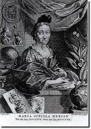 C:\Users\gu\Pictures\merian.jpg